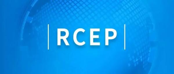 RCEP知識(shí)產(chǎn)權(quán)保護(hù)與風(fēng)險(xiǎn)防范